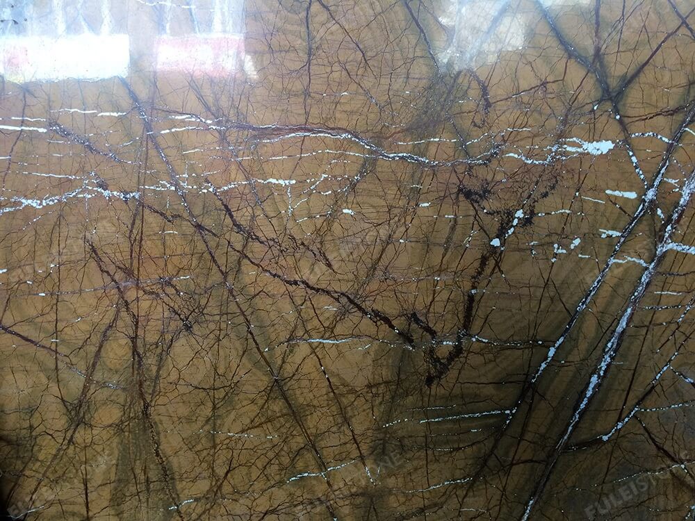Rainforest Brown Marble Texture