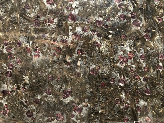 Brazilian Leathered Meteorus Granite close-up (3)