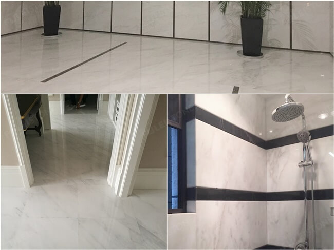 Asian Statuary Marble Floor and Wall Application